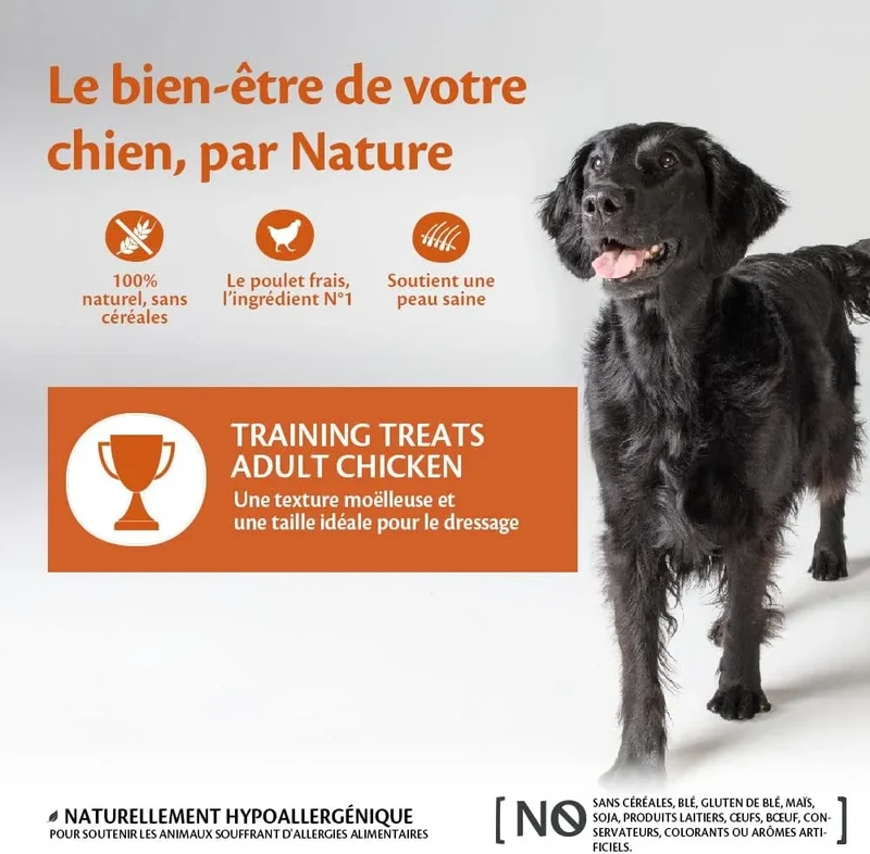 WELLNESS CORE Training Treats Poulet & Baies 170g