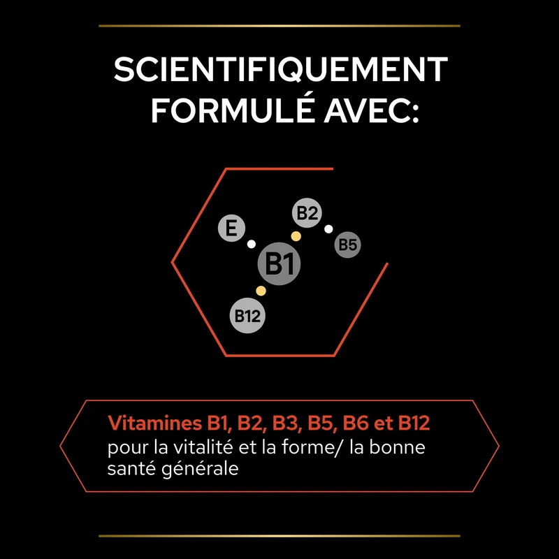 Pro Plan Multi Vitamins+ en comprimés chien