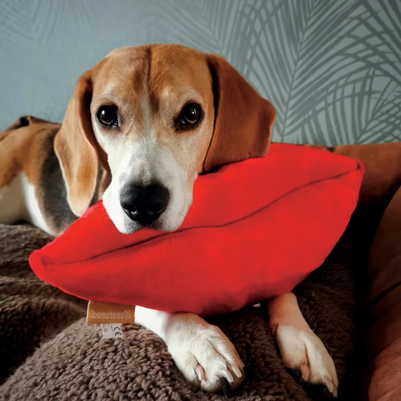 Peluche Kiss chien