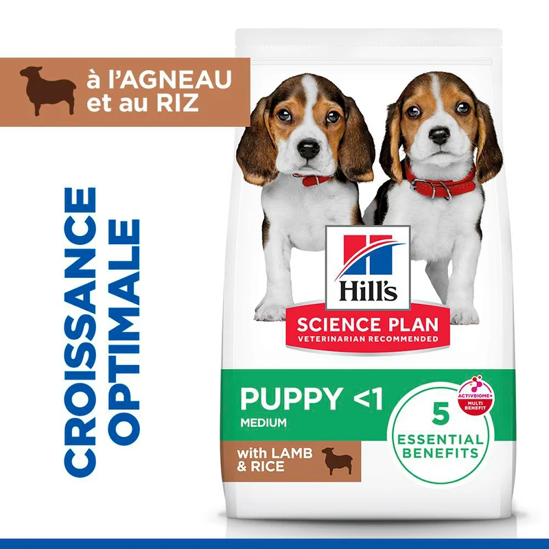 HILL'S Science Plan Medium Puppy à l'Agneau - Croquettes pour chiot