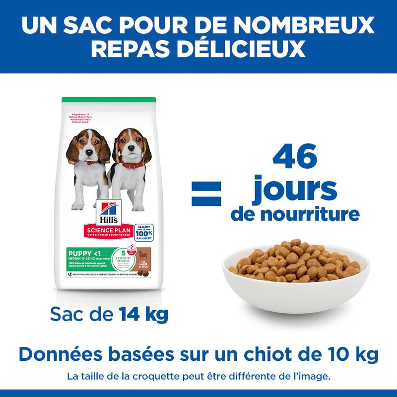 HILL'S Science Plan Medium Puppy à l'Agneau - Croquettes pour chiot