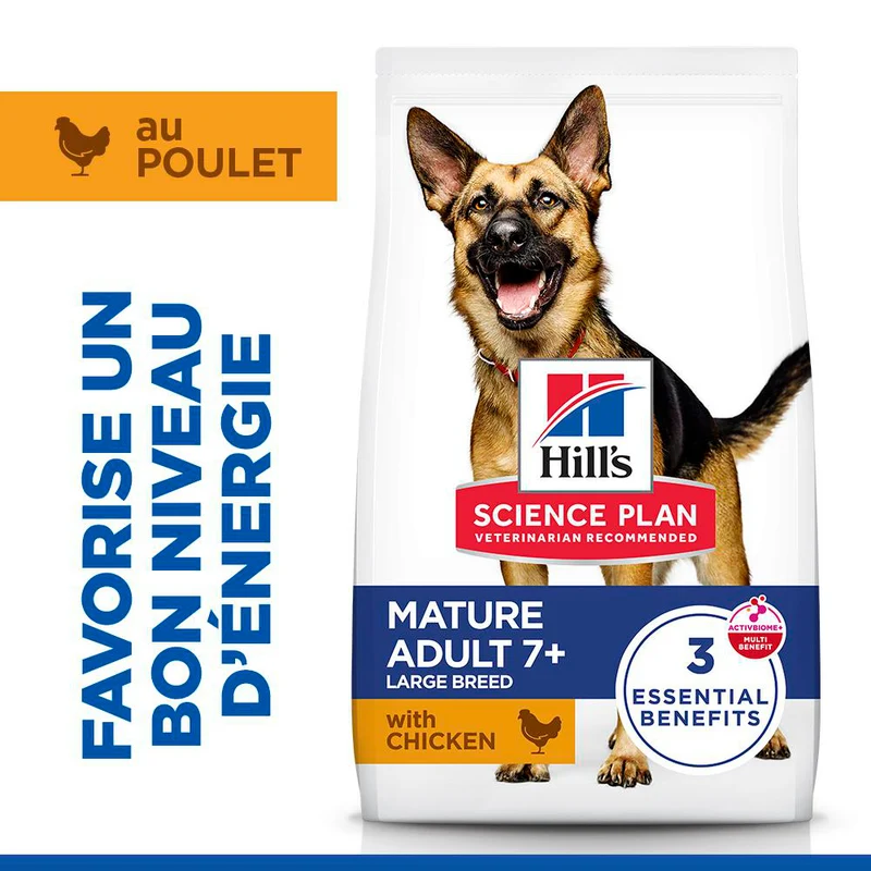 Hill's Science Plan Large Mature Adult 6+ au poulet - croquettes chien