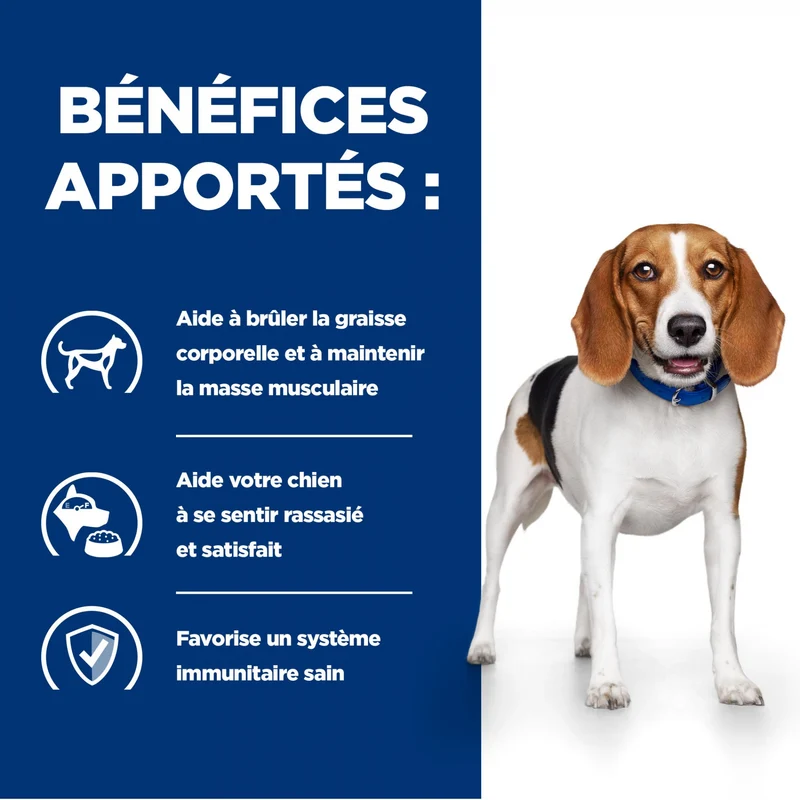 HILL’S Prescription Diet r/d Weight Loss en Boîtes – Pâtée pour chien