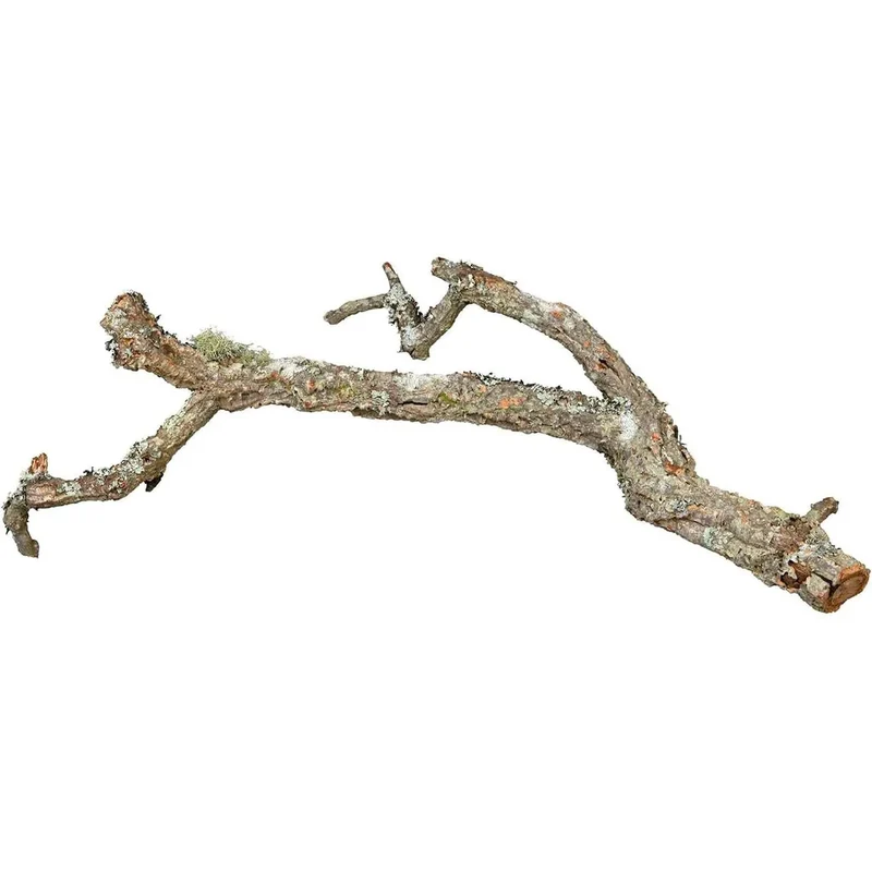 TRIXIE Tronchos mélange de branches de liège 1 kg ø 2–10 cm 25–75 cm