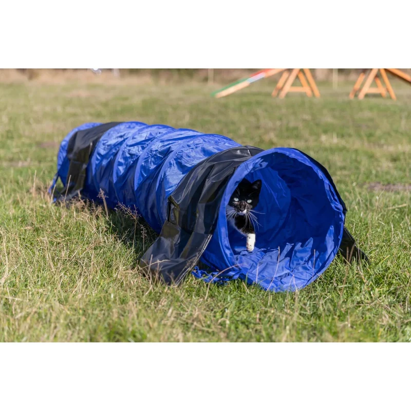 TRIXIE Mini Tunnel Fun Agility Ø 40 cm x 2 m Bleu