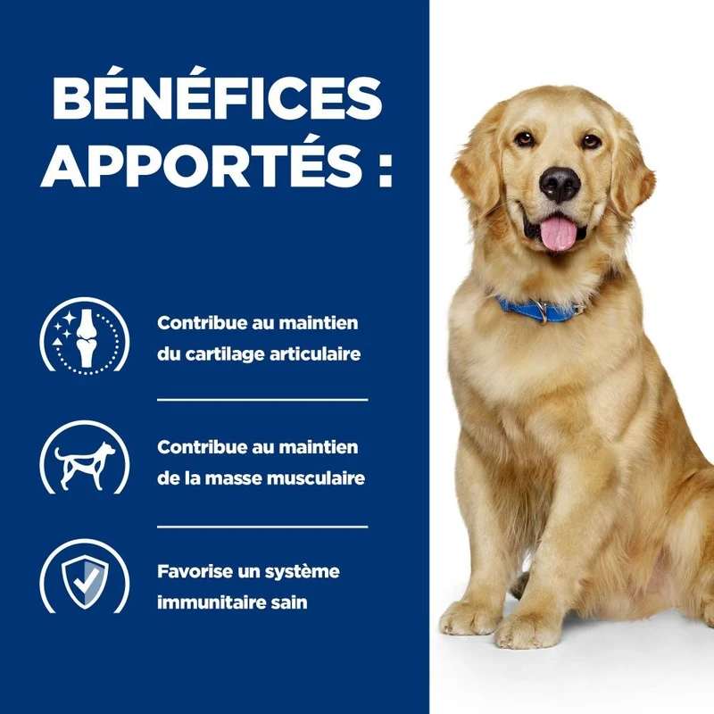 Hill's Prescription Diet j/d Mobility au poulet - croquettes chien