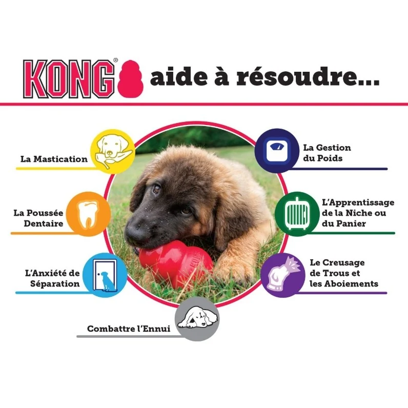 Jouet Classic Kong à mâcher chien