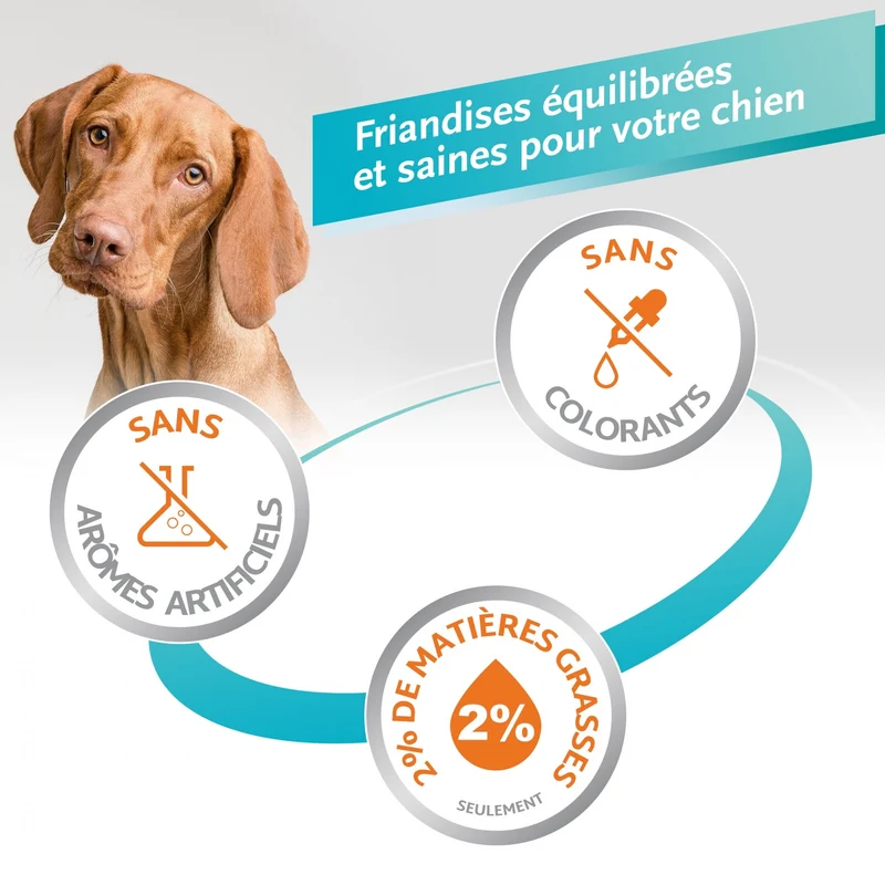 Os à mâcher Delights Pro, contre la plaque dentaire chien