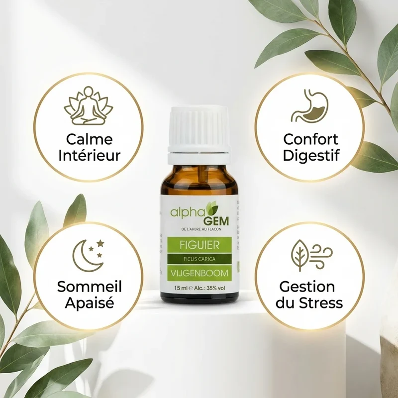 Figuier Bio - 15 ml - Alphagem
