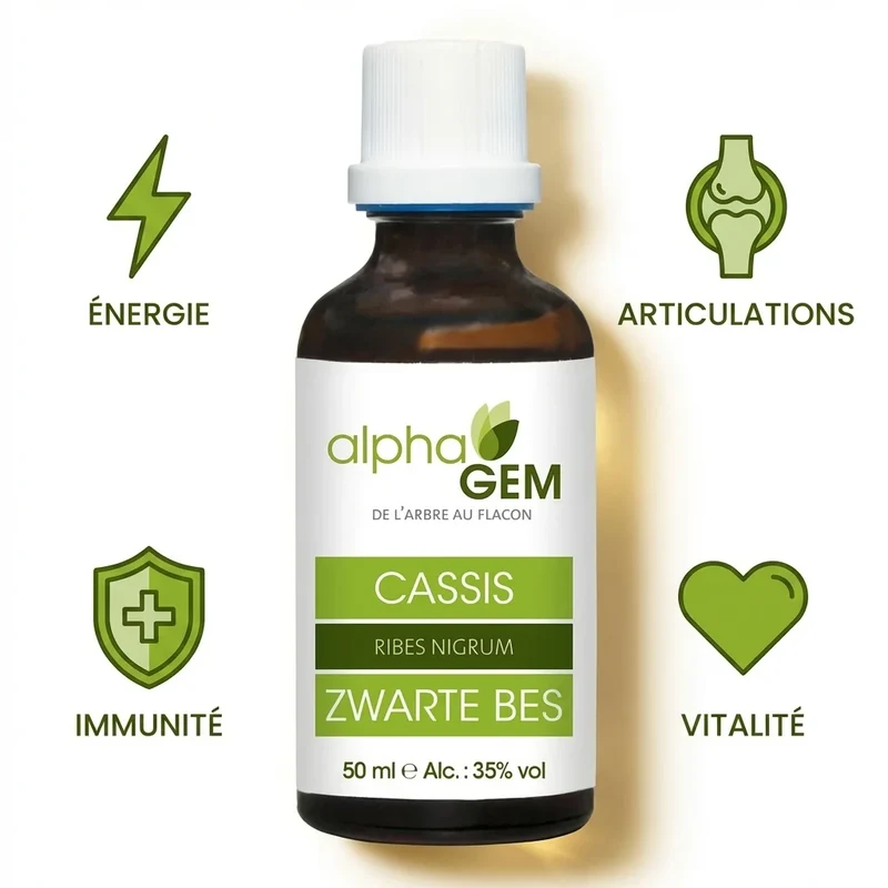 Macérat de Bourgeon de Cassis Bio 50ml - Alphagem