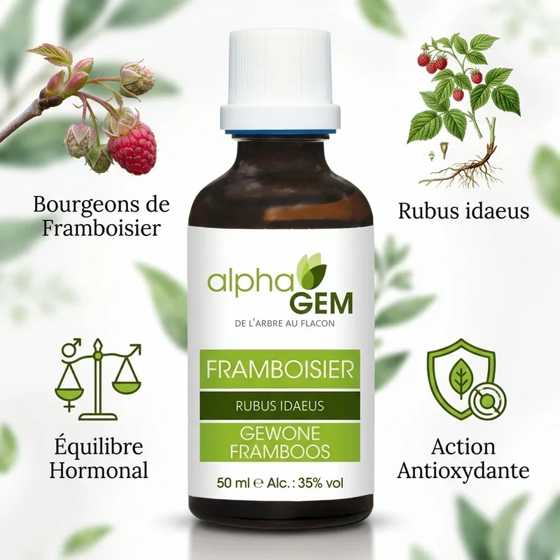 Framboisier Bio - 50 Ml - Alphagem