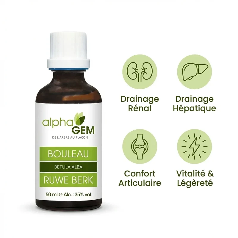 Macérat de bourgeons de Bouleau Bio - 50 ml - Alphagem
