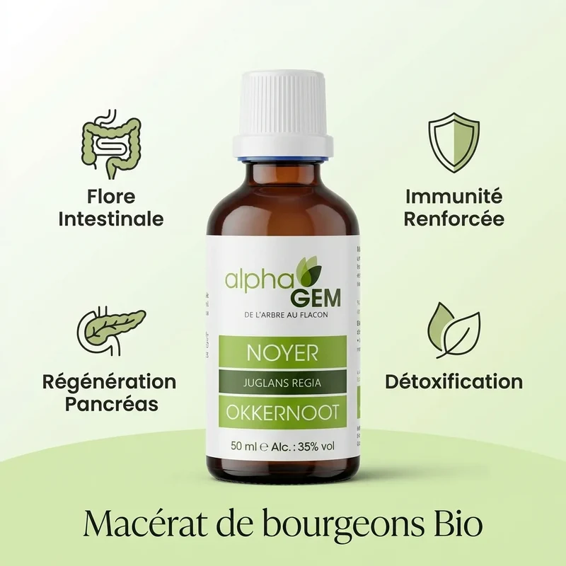 Macérat de bourgeons de Noyer Bio - 50ml - Alphagem
