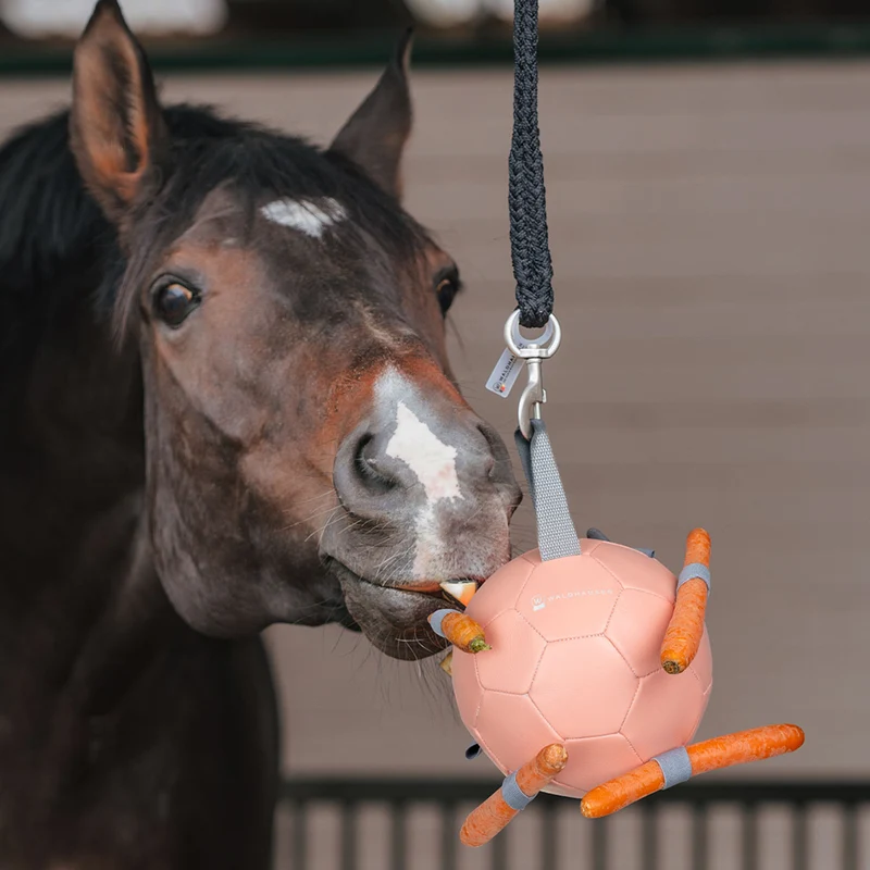 BALLON A CAROTTE | WALDHAUSEN
