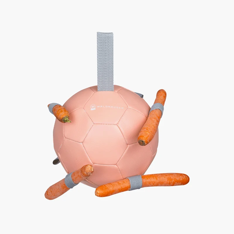 BALLON A CAROTTE | WALDHAUSEN