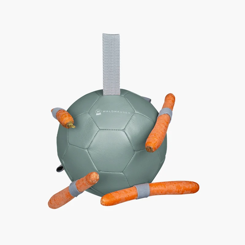BALLON A CAROTTE | WALDHAUSEN