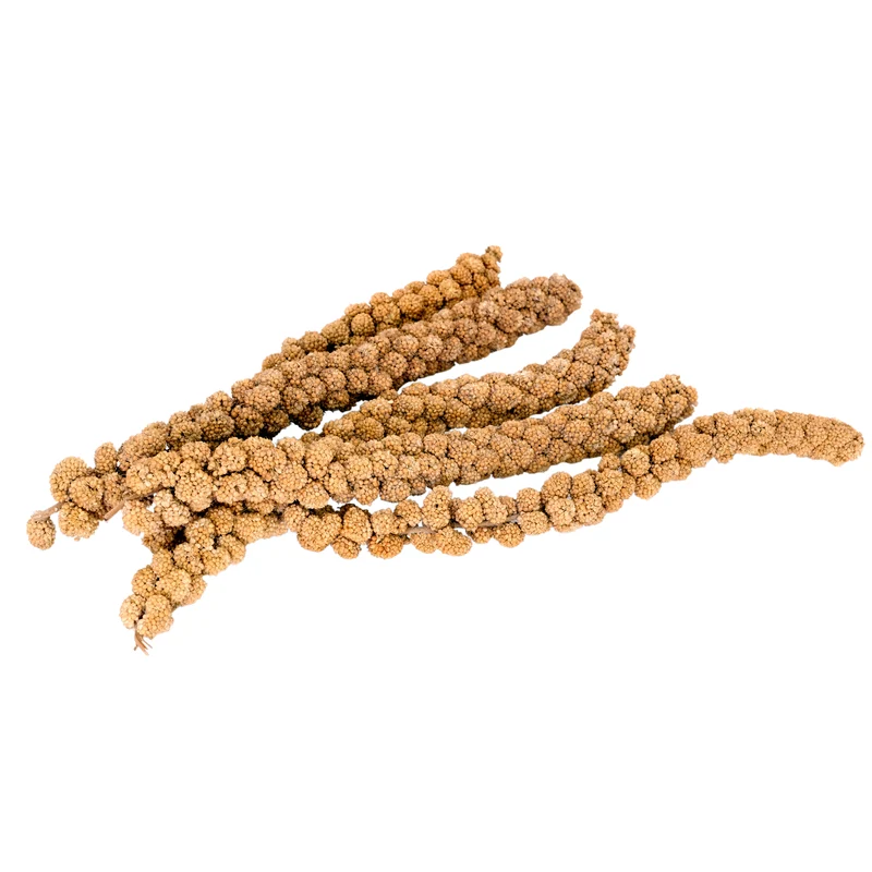 Millet en grappes Living World, 2,27 kg (5 lb)