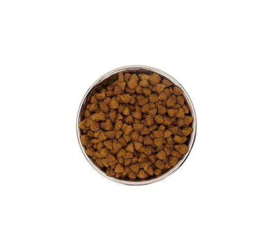 Gabo Nourriture Pour Chat & Chaton, Tout Stade De Vie - Chat D'intérieur, Poulet Et Poisson 15.4 Lb