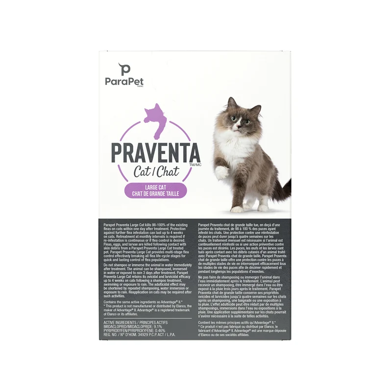 Traitement Parapet Praventa, chats de grande taille, 1 tube
