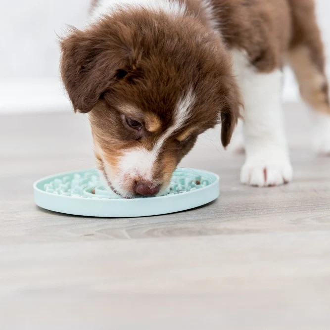 Assiette à lécher Lick'n'Snack chien