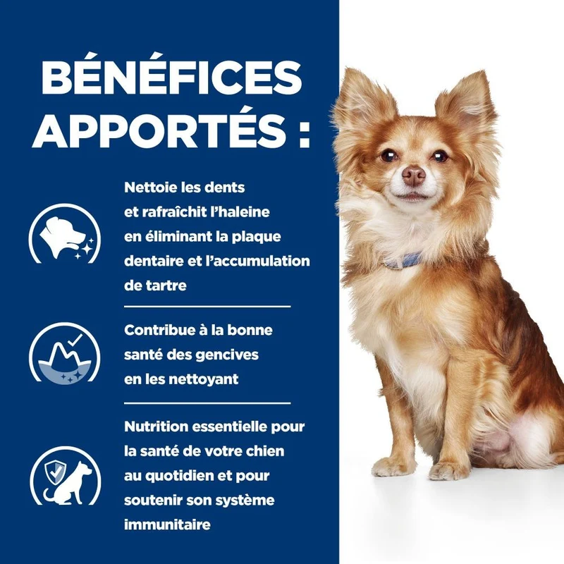 Hill's Prescription Diet t/d Dental Care Mini au poulet - croquettes chien