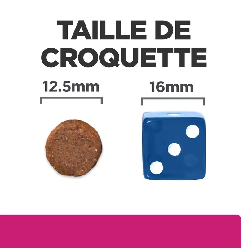 Hill's Prescription Diet Gastrointestinal Biome au poulet - croquettes chien