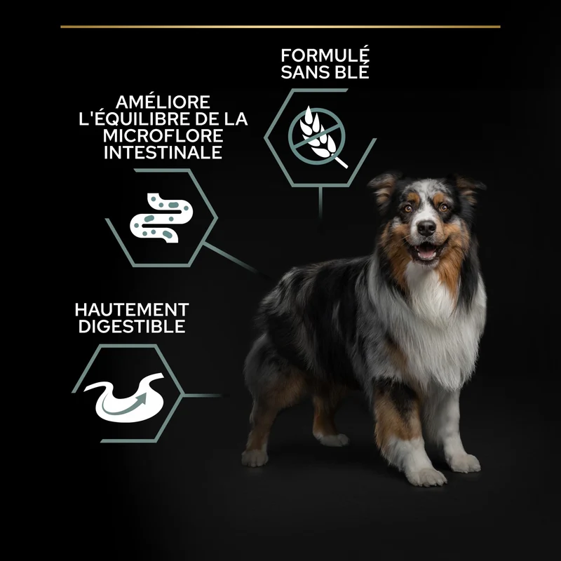 PRO PLAN Sensitive Digestion No Grain Medium & Large Adult à la Dinde - Croquettes pour chien