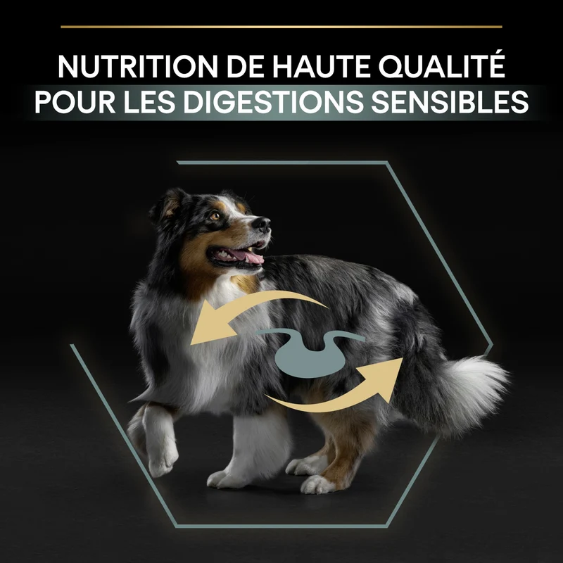 PRO PLAN Sensitive Digestion No Grain Medium & Large Adult à la Dinde - Croquettes pour chien