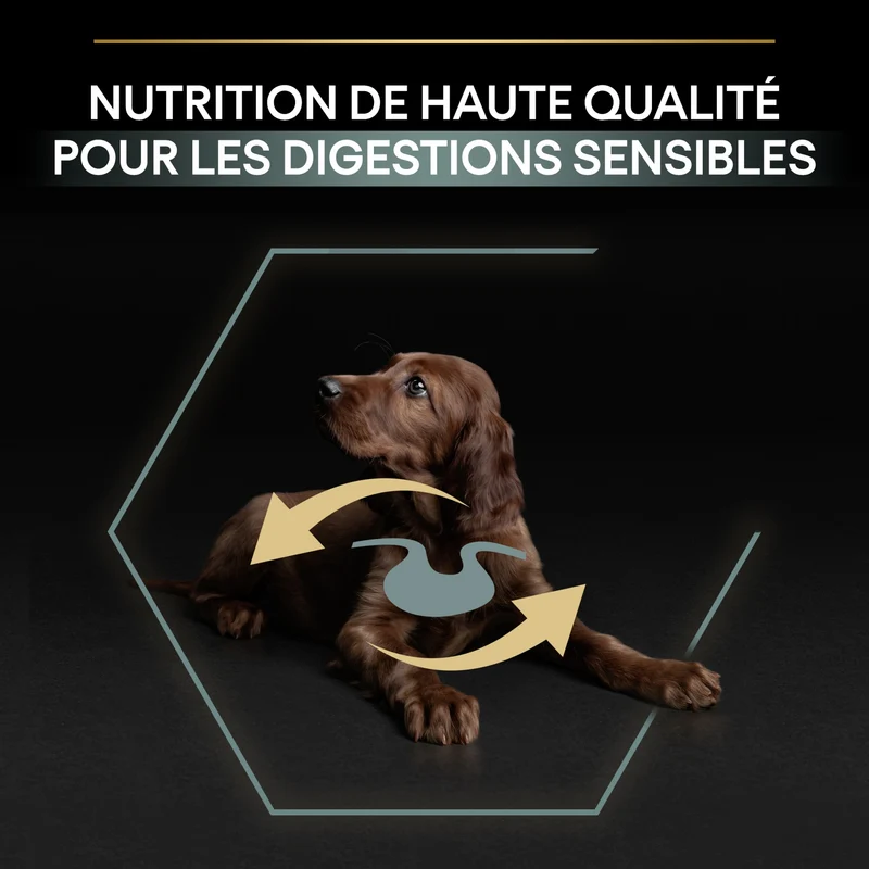 Pro Plan Sensitive Digestion Large Athletic Puppy à l'agneau - croquettes chiot