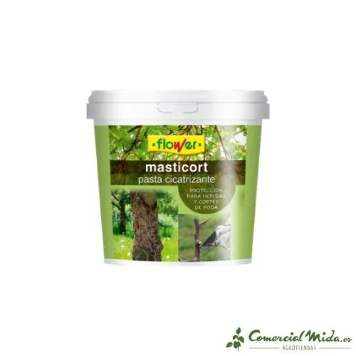 MASTICORT Pâte cicatrisante pour la taille et les plaies