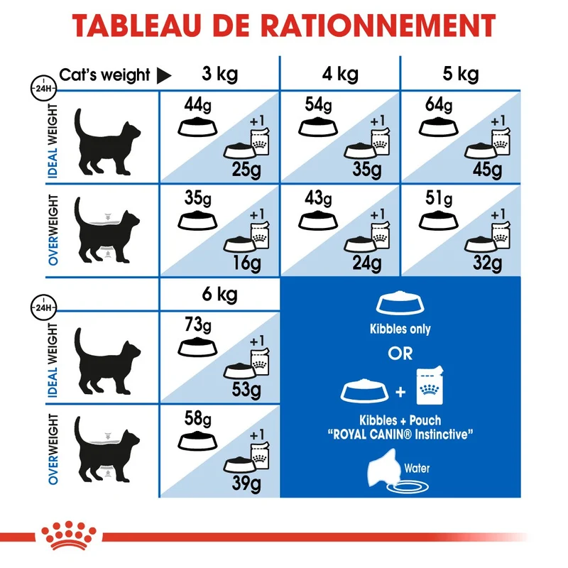 Royal Canin Indoor Long Hair