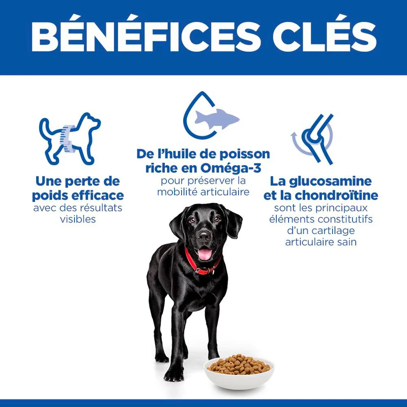 Hill's Science Plan Perfect Weight & Active Mobility Large Adult au poulet - croquettes chien
