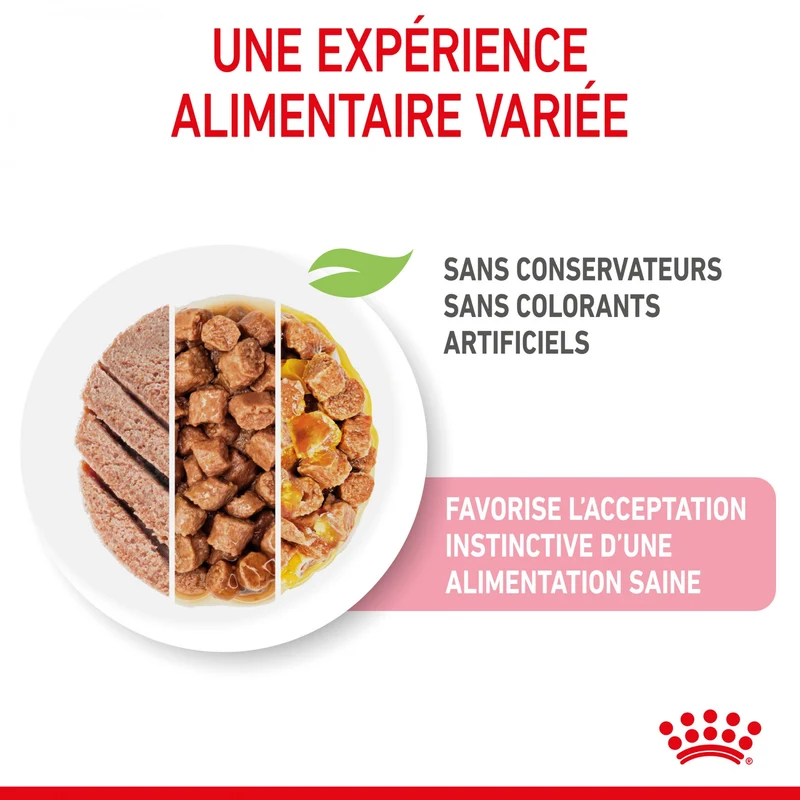 Royal Canin Kitten Multipack - Pâtées pour chaton