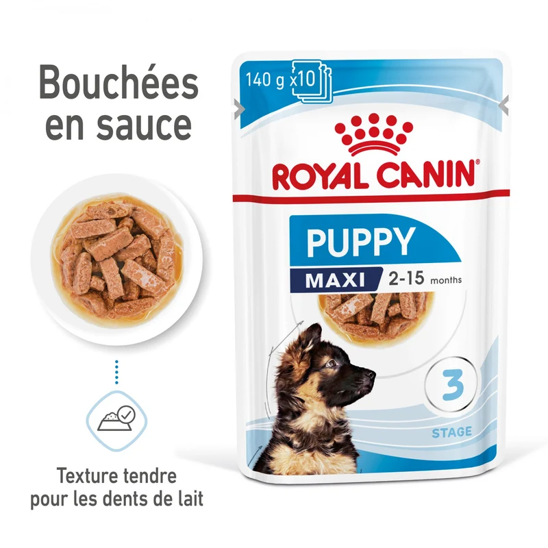 Royal Canin Maxi Puppy en sauce - pâtée chiot