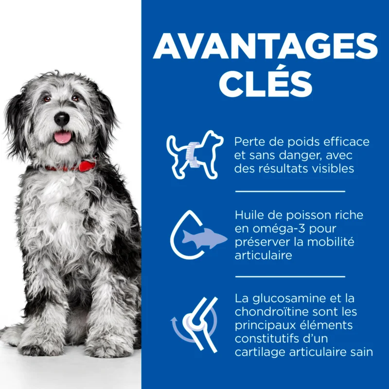Hill's Science Plan Perfect Weight & Active Mobility Medium Adult au poulet - croquettes chien