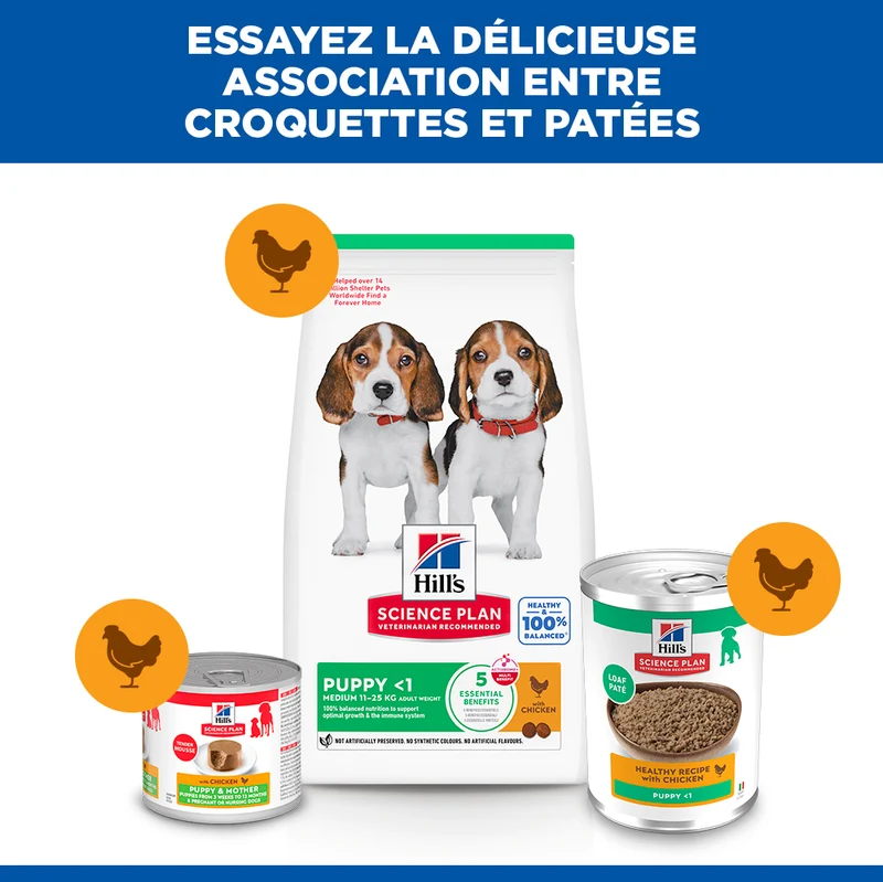 HILL'S Science Plan All Breed Puppy en Boîtes au Poulet - Pâtée pour chiot