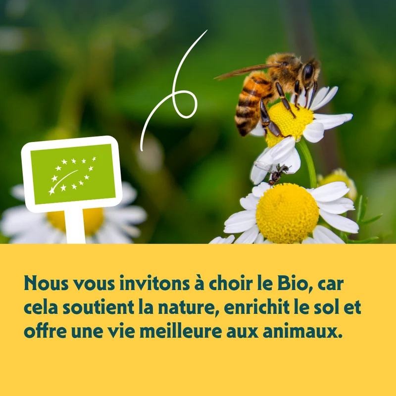 Yarrah biscuits bio végétarien pour petit chien