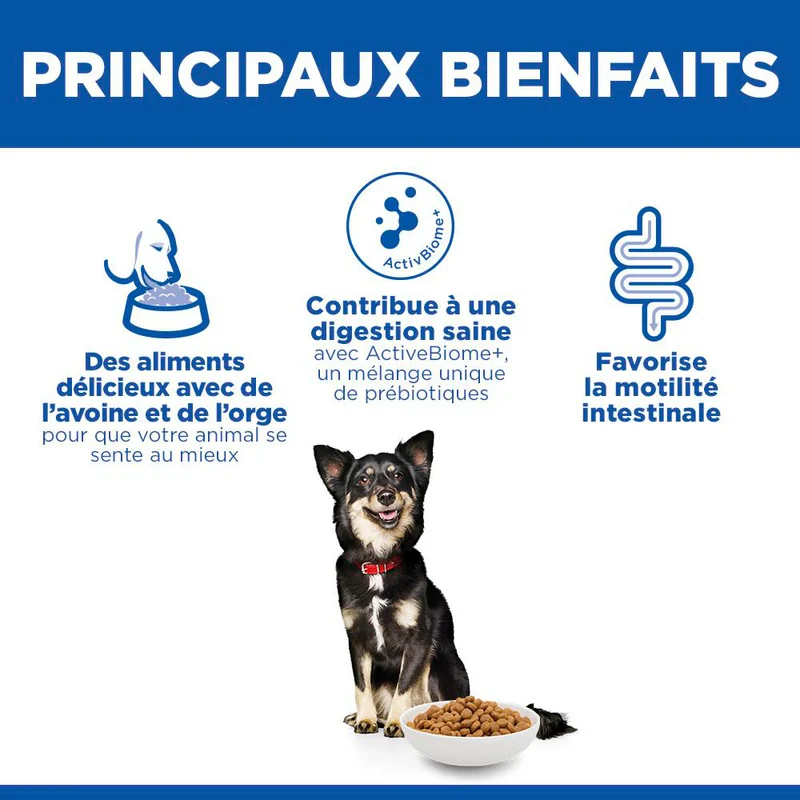 HILL'S Science Plan Perfect Digestion Small & Mini Adult au Poulet - Croquettes pour chien