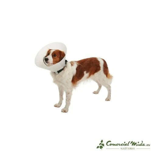 Collier élisabéthain Opaque KRUUSE Buster Classic pour chiens