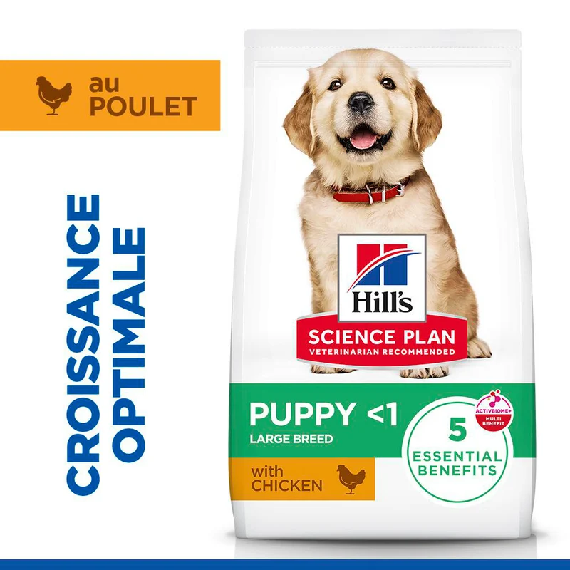 Hill's Science Plan Large Puppy au poulet - croquettes chiot