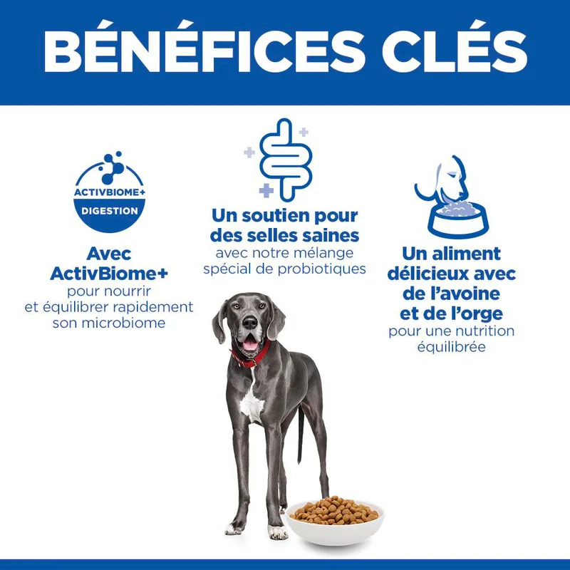 Hill's Science Plan Perfect Digestion Large Adult au poulet - croquettes chien