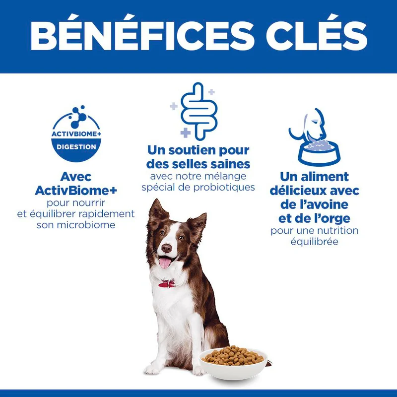 Hill's Science Plan Perfect Digestion Medium Adult au poulet - croquettes chien