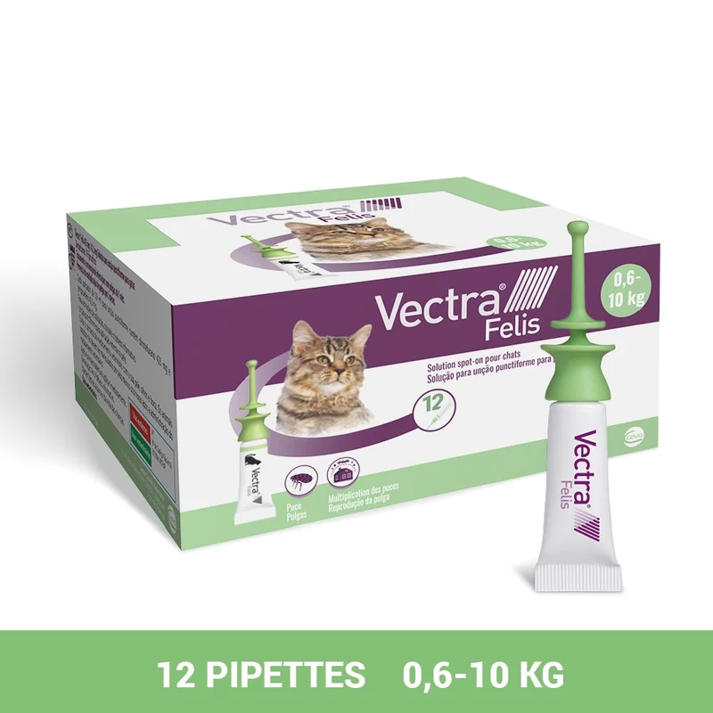Pipettes anti-puces Vectra Felis chat