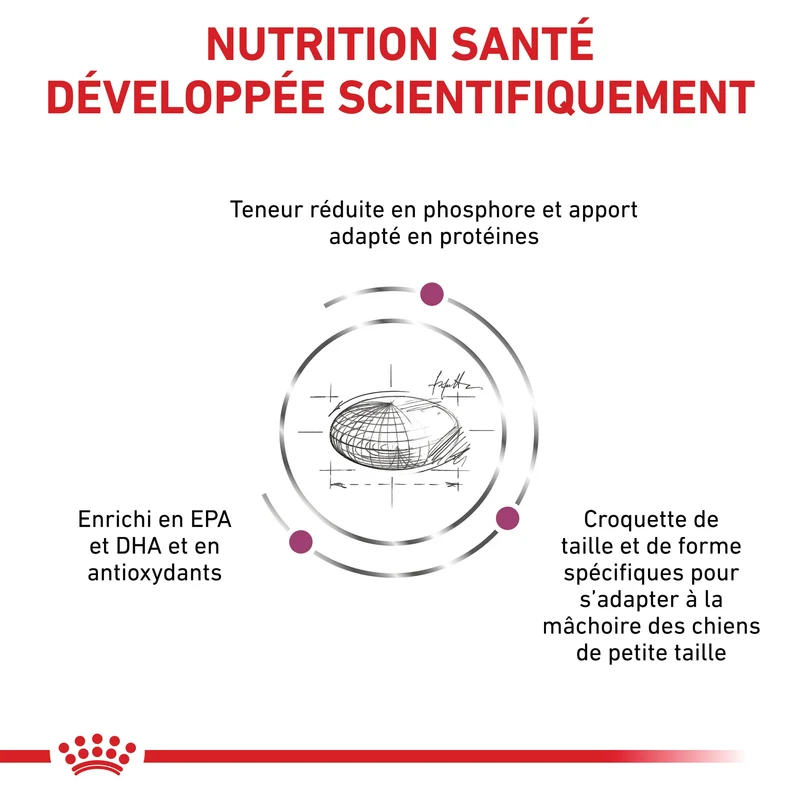 Royal Canin Veterinary Renal Small Dog - croquettes chien