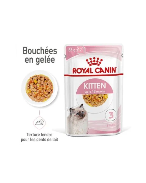 Royal Canin Kitten en Gelée - Pâtée pour chaton