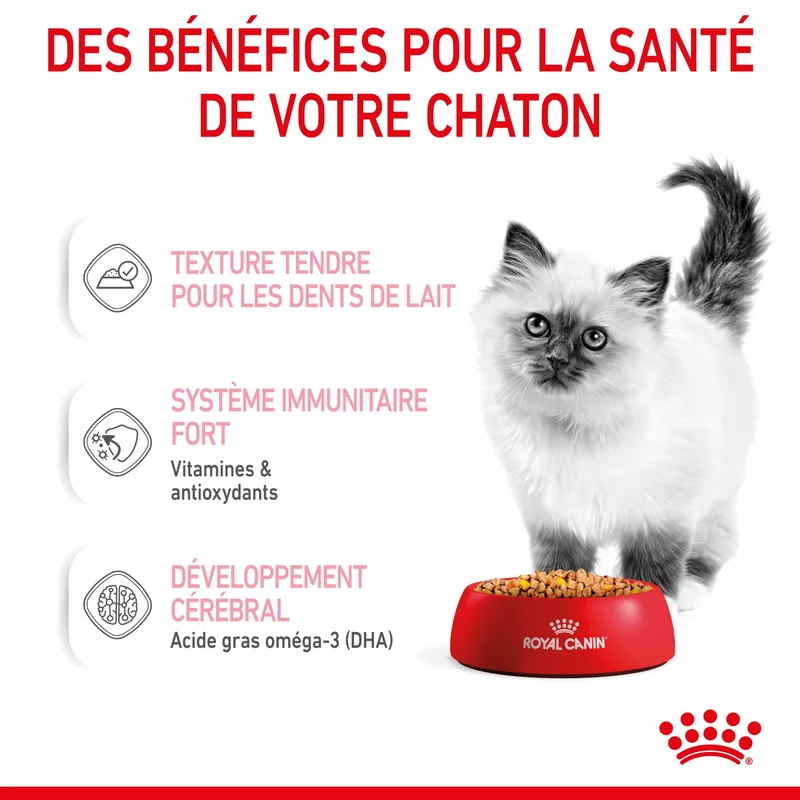 Royal Canin Kitten en Gelée - Pâtée pour chaton