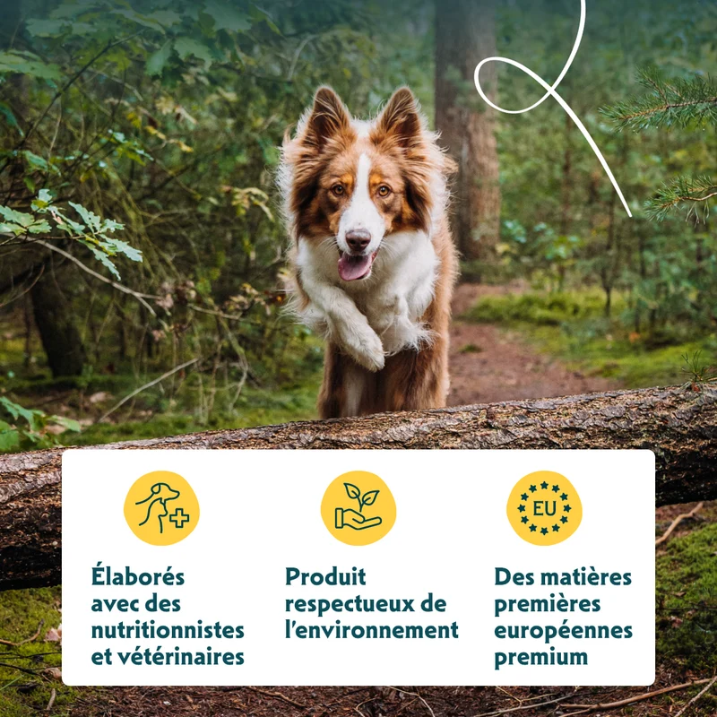 Yarrah biscuits bio végétarien pour petit chien
