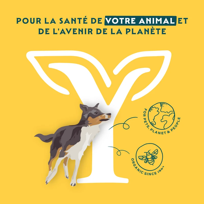 Yarrah biscuits bio végétarien pour petit chien