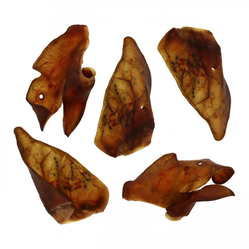 Oreilles de porc XXL