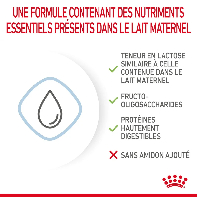 Royal Canin Babydog Milk - lait maternisé pour chiot